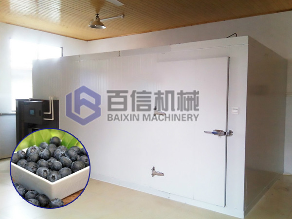 藍(lán)莓烘干機(jī)